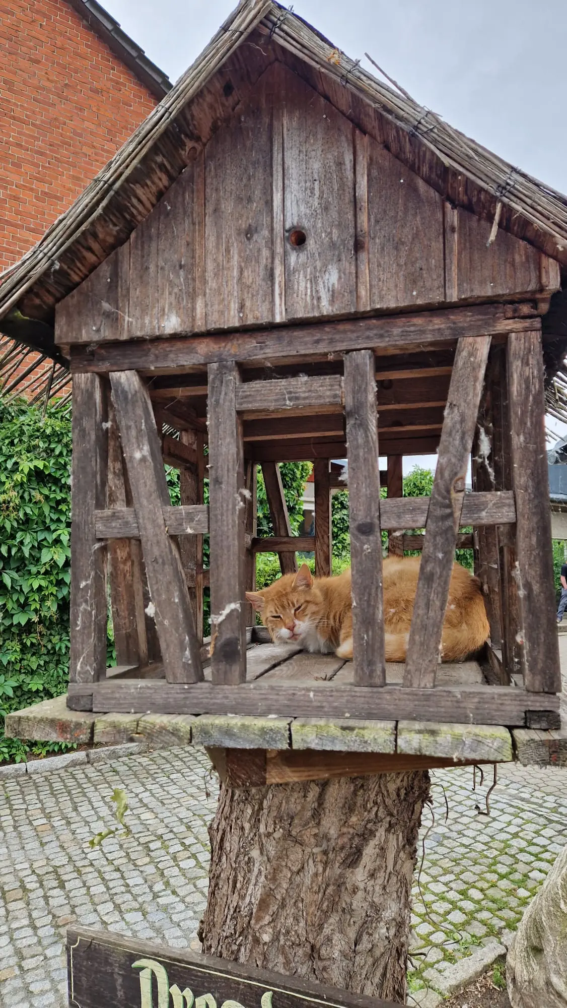 Zimmer – Beispielansicht